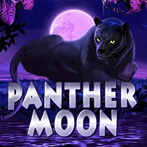 Panther Moon Image