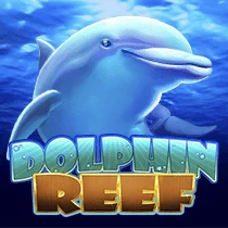 Dolphin Reef Image
