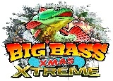 Big Bass Xmas Xtreme Image