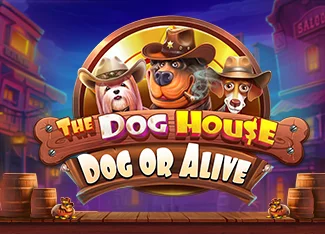 The Dog House - Dog or Alive Image