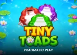 Tiny Toads Image