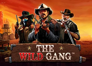 The Wild Gang Image