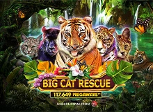 Big Cat Rescue Megaways Image