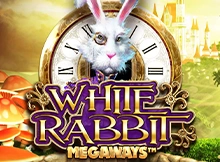 White Rabbit Image