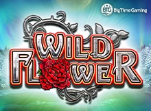 Wild Flower Image