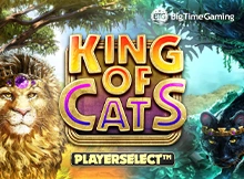 King of Cats Image