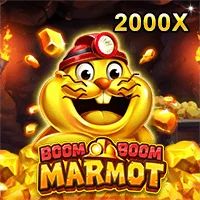 Boom Boom Marmot Image