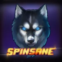 Spinsane™ Image