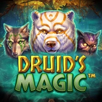 Druids Magic Image