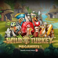 Wild Turkey Megaways Image