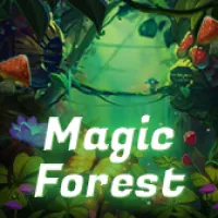 Magic Forest Image