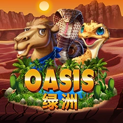 Oasis Image