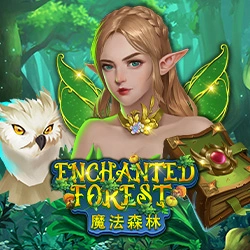 Enchanted Forest Image