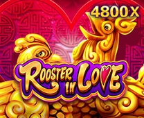 Rooster In Love Image